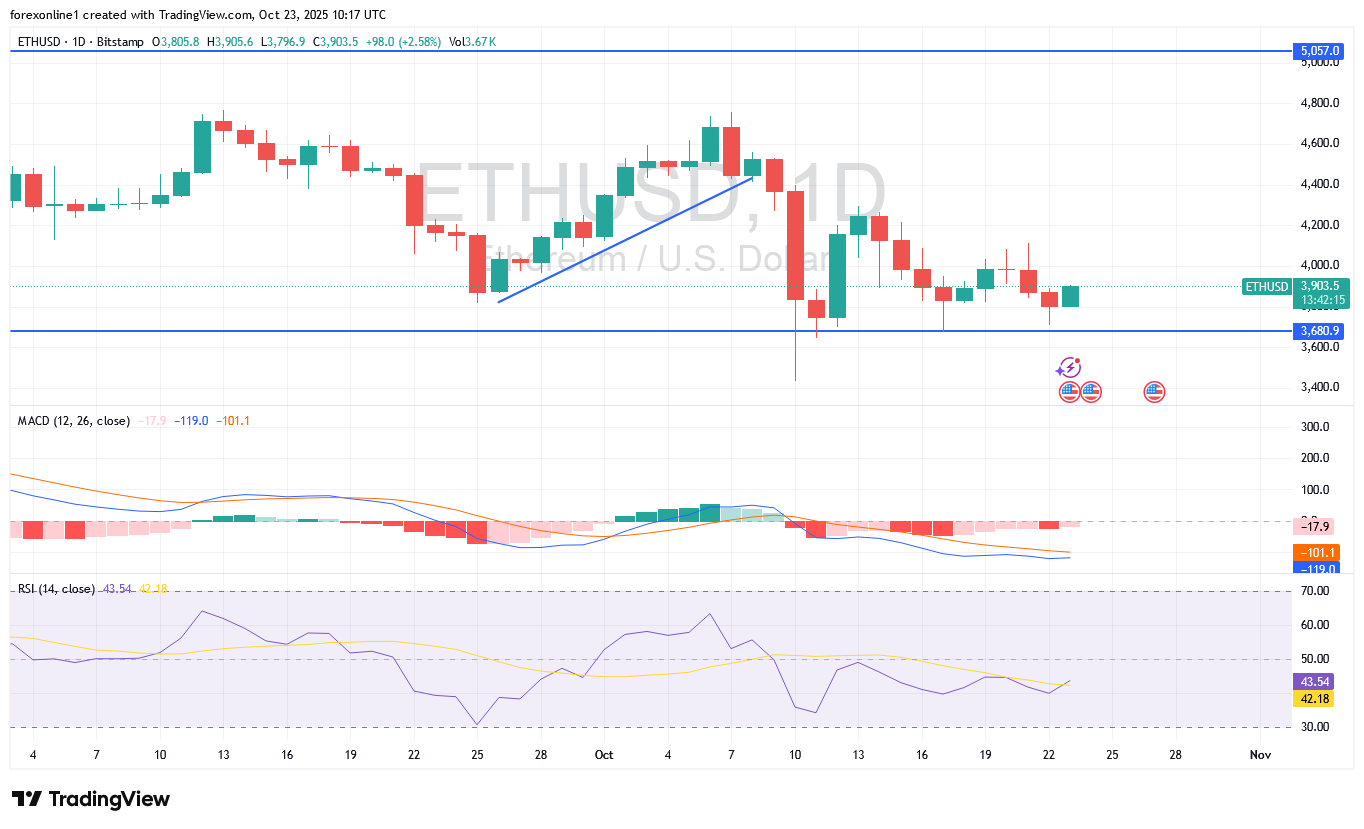 سعر الايثريوم دولار ETHUSD الصاعد لا يزال حذرا وسط ضعف المعنويات