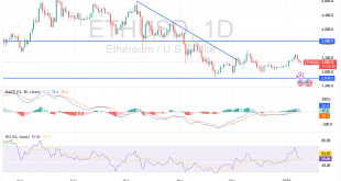 شارت الايثريوم دولار امريكى