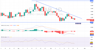 شارت اليورو ريال سعودى