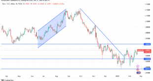 شارت اليورو مقابل الدولار الامريكى