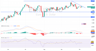 شارت اليورو دولار اليوم