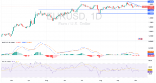 شارت اليورو مقابل الدولار الامريكى