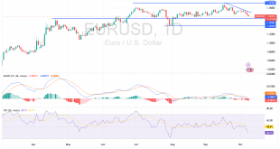 شارت اليورو مقابل الدولار الامريكى