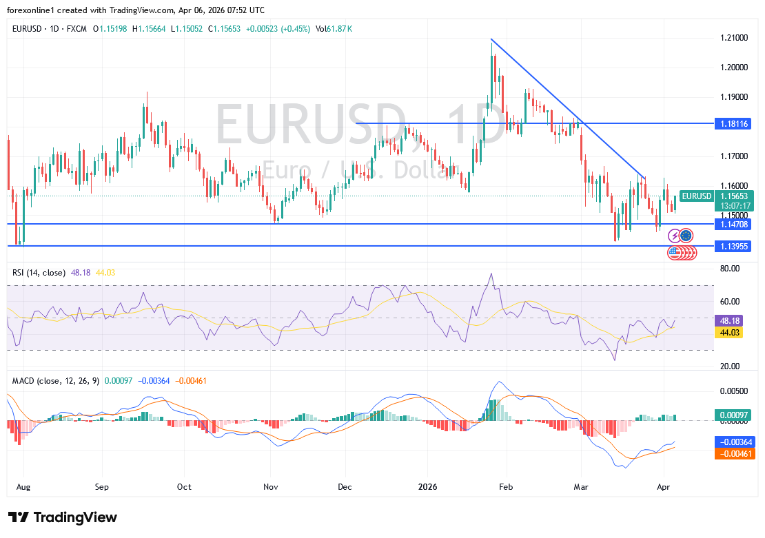 توقعات اليورو مقابل الدولار EUR/USD اليوم: هل يستمر الضغط الهبوطى أم يقترب الارتداد؟