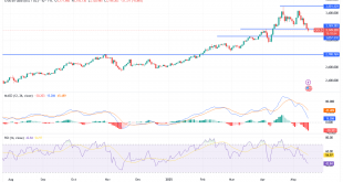 شارت سعر الذهب اليوم