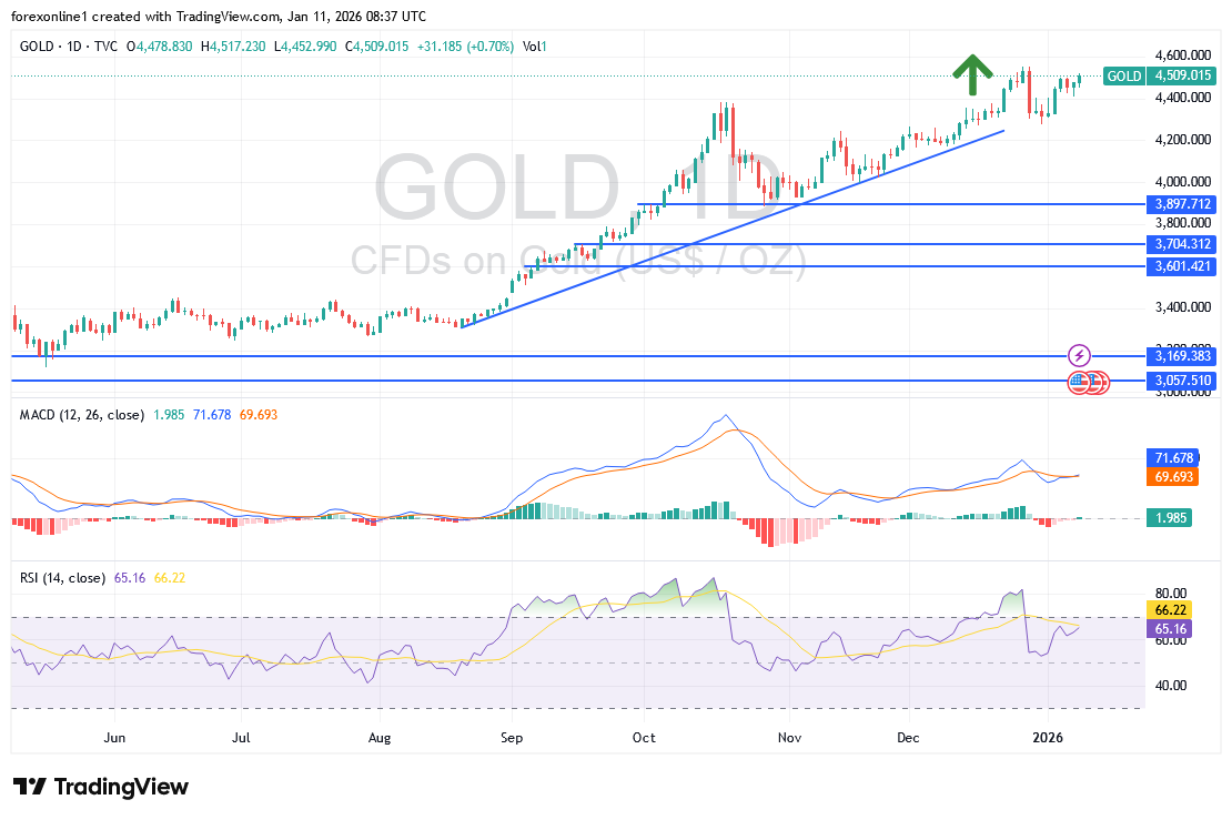 شارت سعر الذهب اليوم