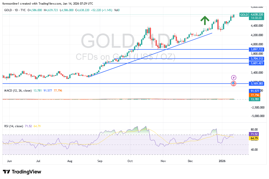 توقعات تحليل أسعار الذهب اليوم الاربعاء 14 يناير 2026 : هل سترتفع أسعار الذهب فى الايام المقبلة الى 5000 دولار ؟