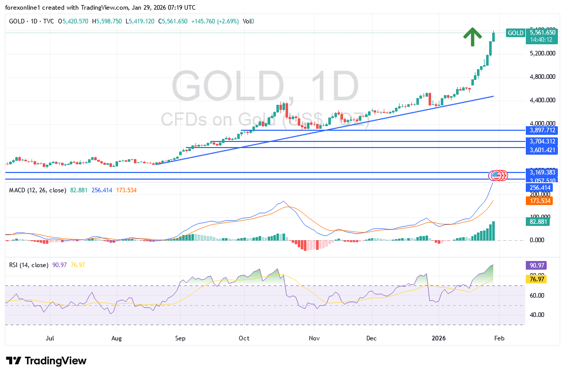 شارت سعر الذهب اليوم