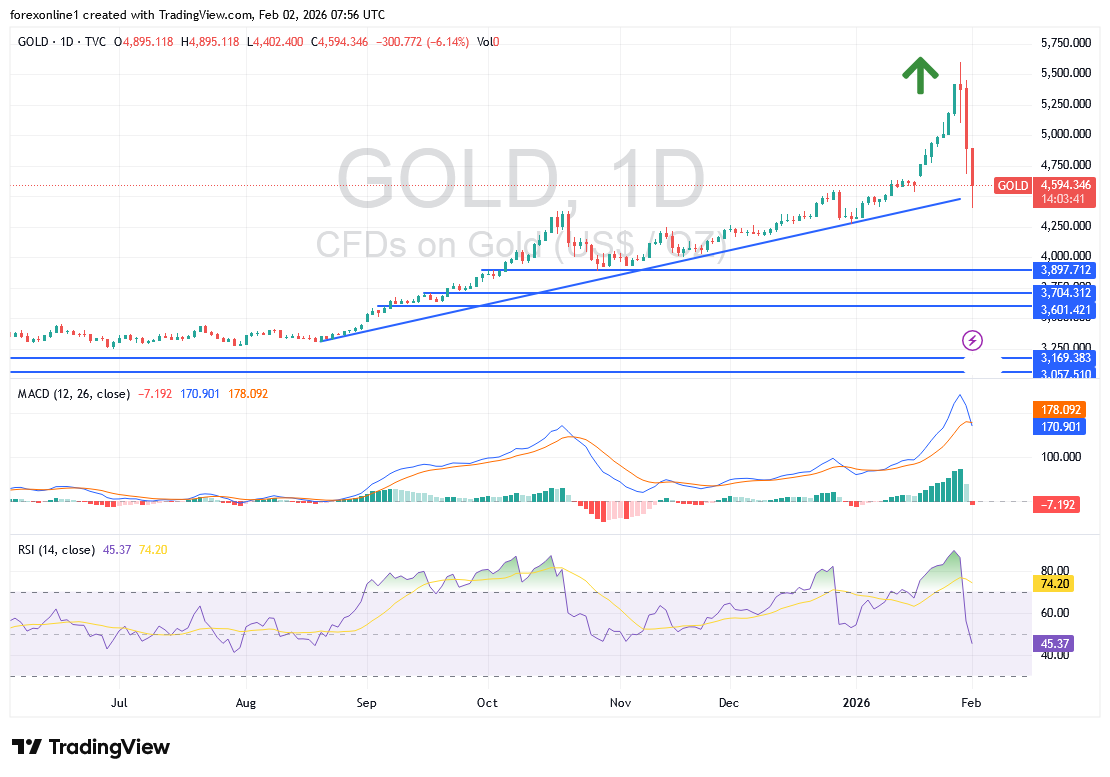 شارت سعر الذهب اليوم