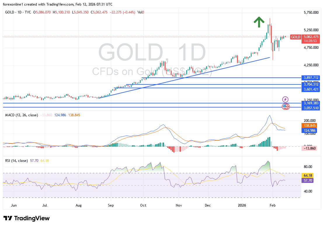 توقعات أسعار الذهب اليوم الخميس 12 فبراير 2026: المؤشرات الفنية تمهد لموجة صعود جديدة