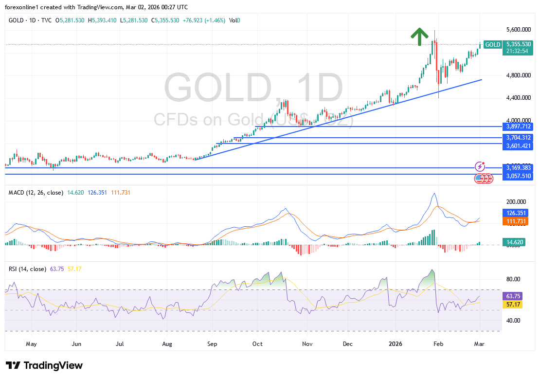 شارت سعر الذهب اليوم