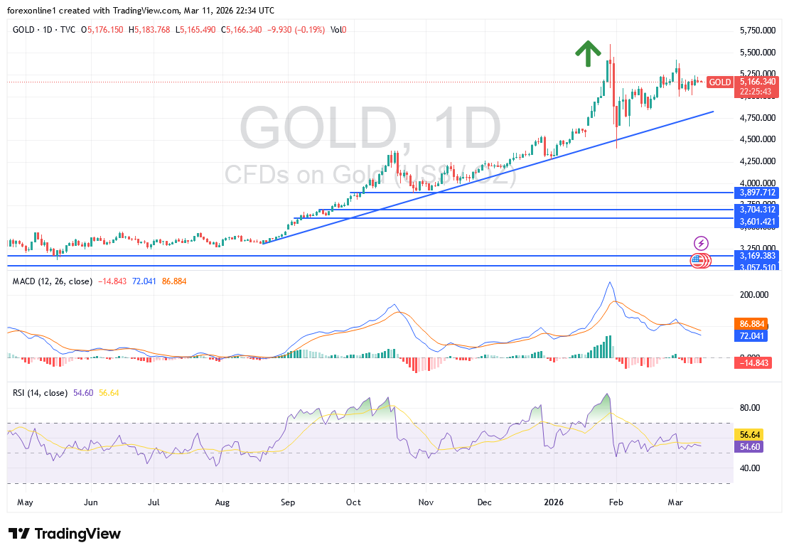 تحليل أسعار الذهب اليوم الخميس 12 مارس 2026: صعود الدولار يحد من مكاسب الذهب رغم تصاعد التوترات