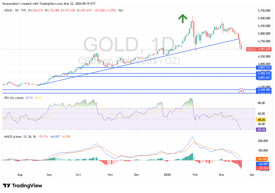 شارت سعر الذهب