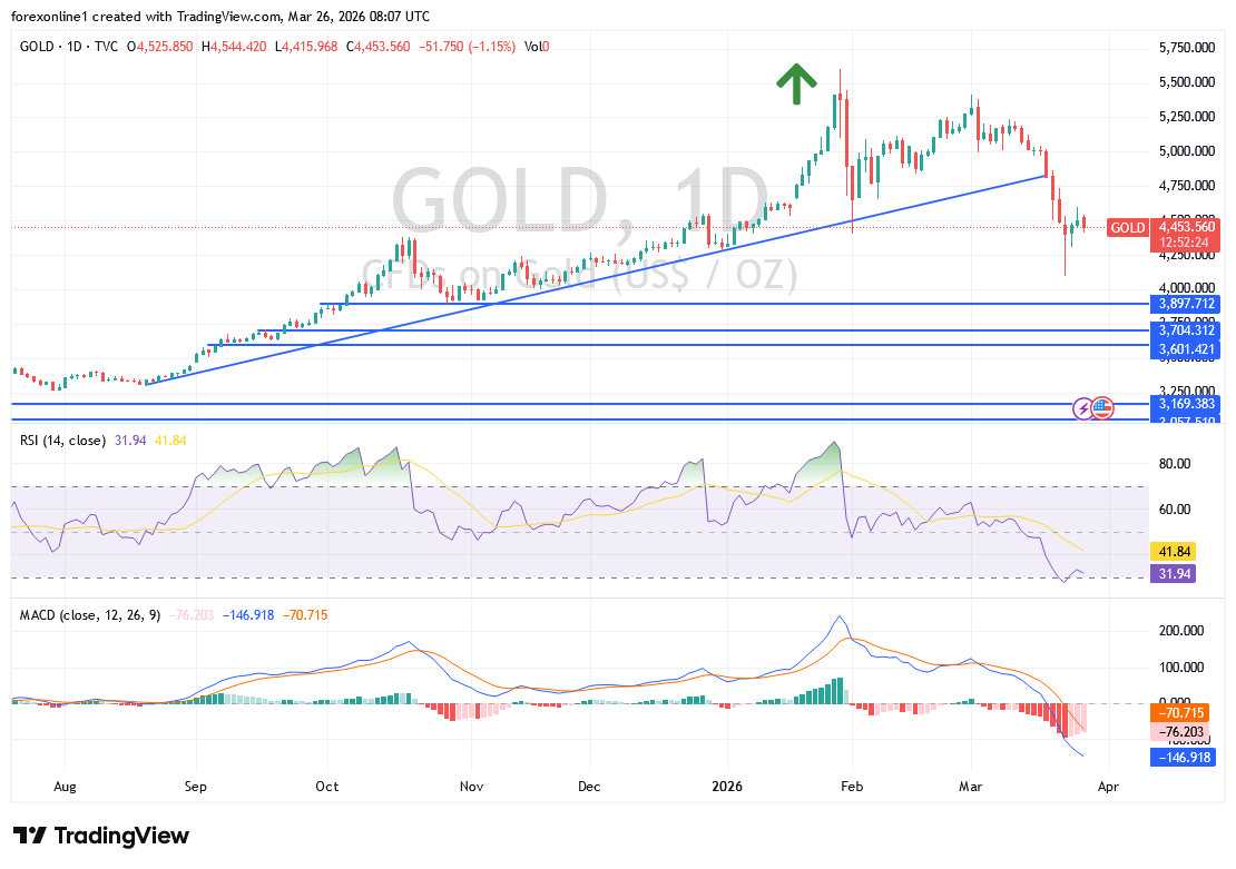 تحليل فني للذهب اليوم: مستويات حرجة قد تحدد اتجاه السوق