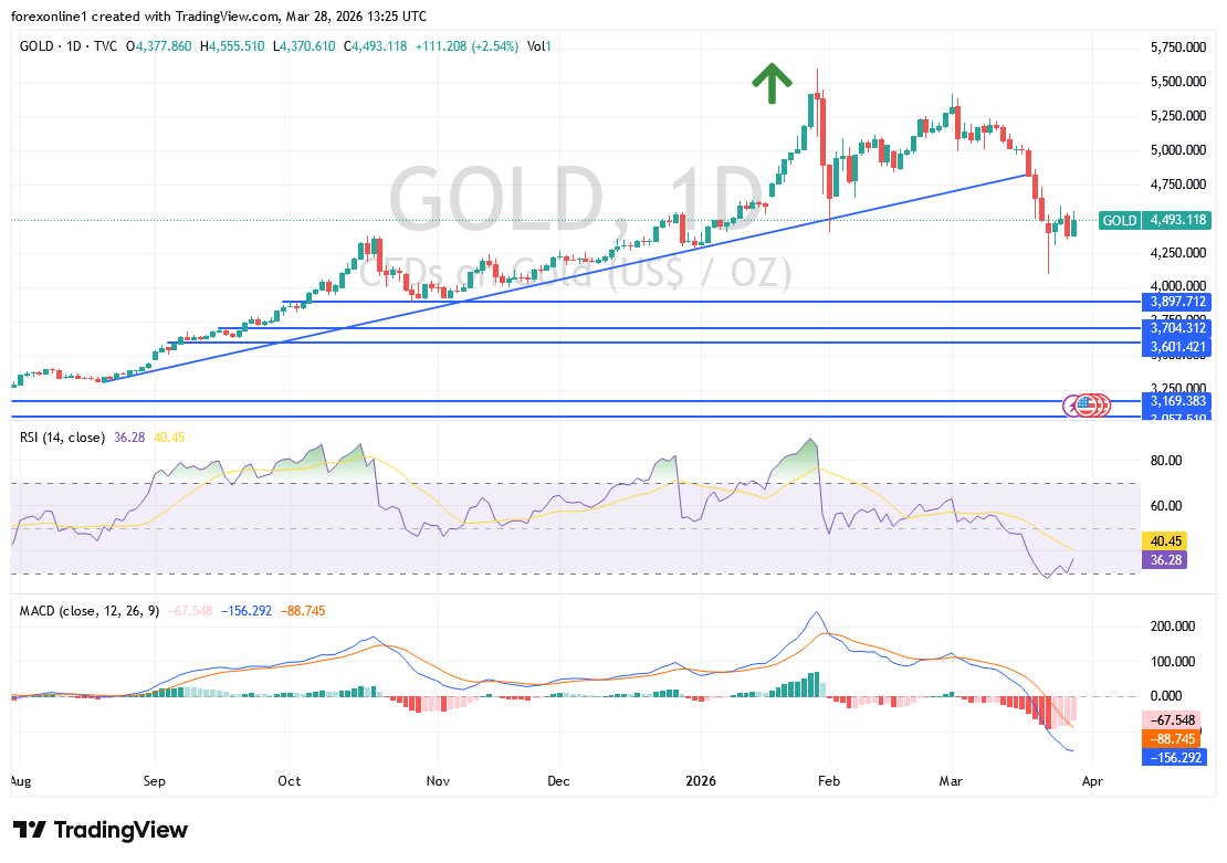 تحليل الذهب الأسبوعي: هل يفاجئ الذهب الأسواق بصعود قوي قريبًا؟