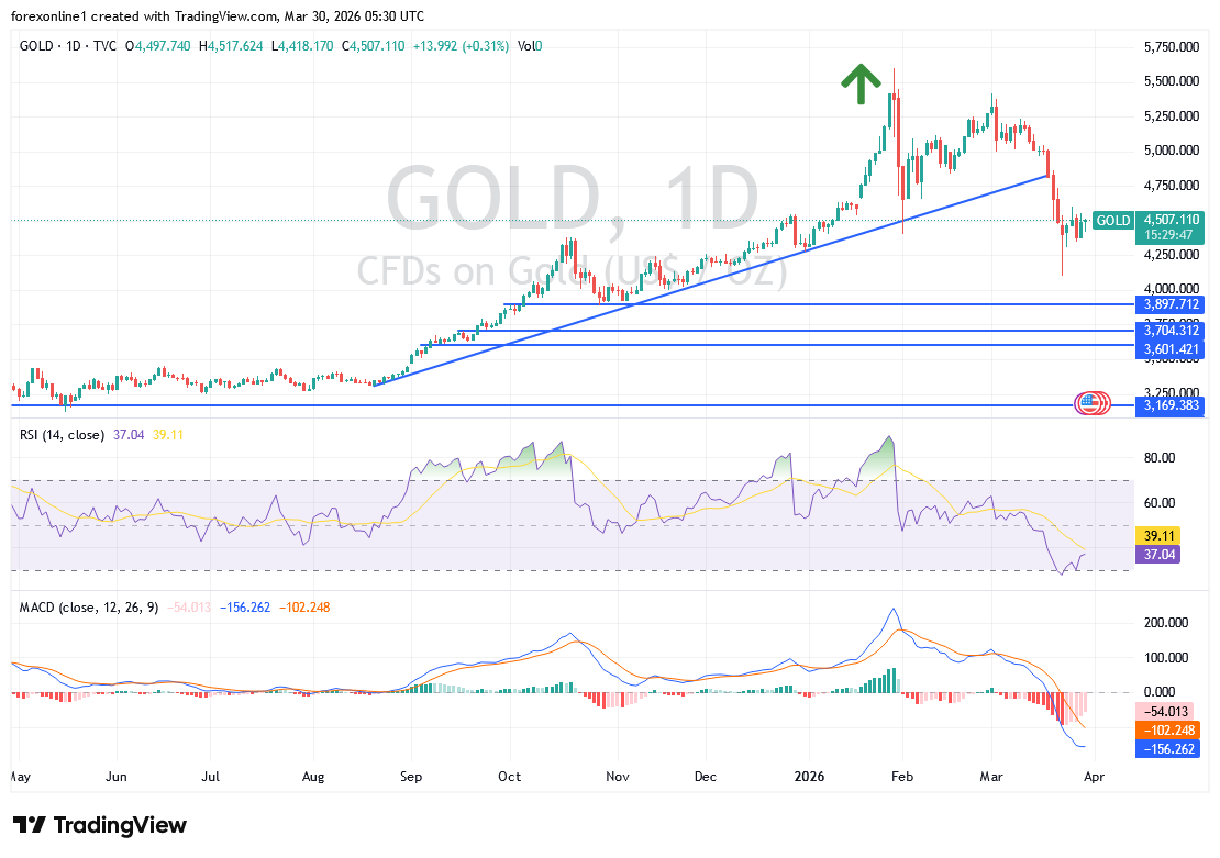 التحليل الفني لسعر الذهب اليوم: محاولات لوقف الهبوط.. فهل يبدأ التعافي؟