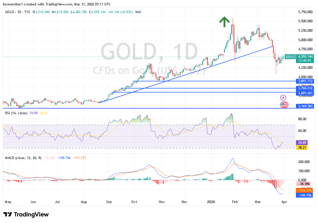 توقعات محللى الذهب اليوم: فشل الارتداد لاعلى قد يؤدي لمزيد من الهبوط