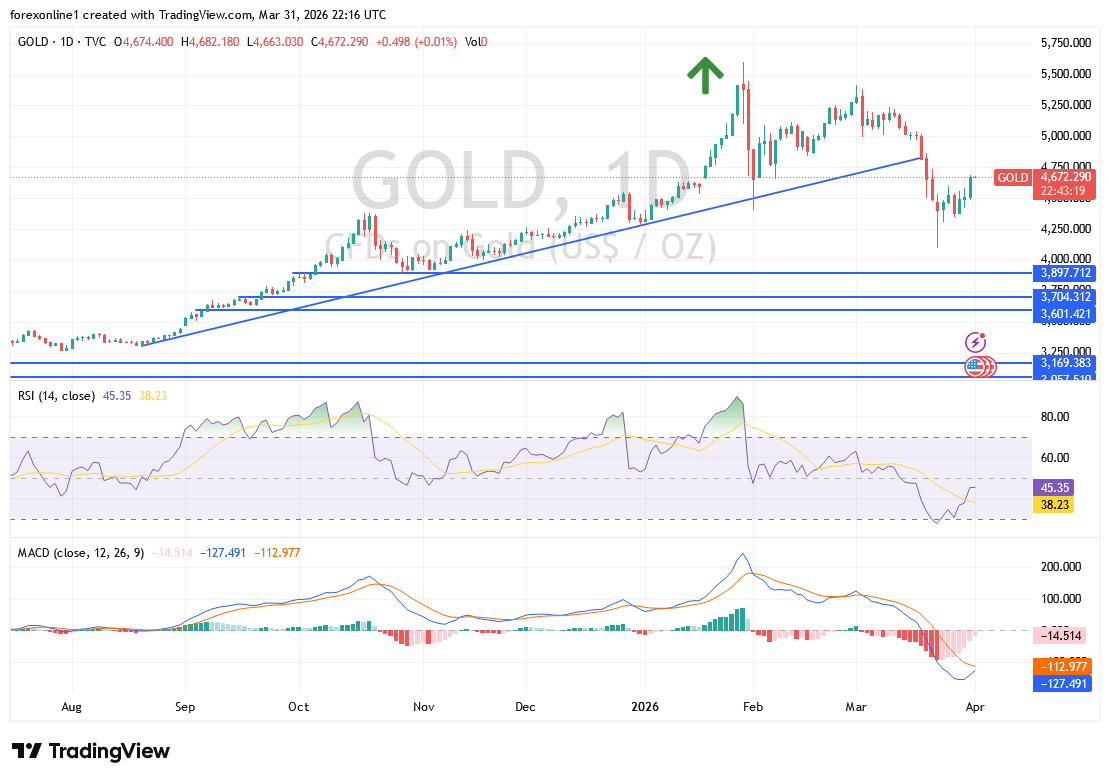 تحليل أسعار الذهب اليوم: هل يستعيد الاتجاه الصاعد نحو 5000 دولار؟