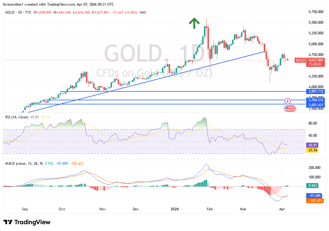 تحليل سعر الذهب اليوم: تركيز السوق على الصراع الامريكى/ الايرانى. إلى أين تتجه الأسعار؟