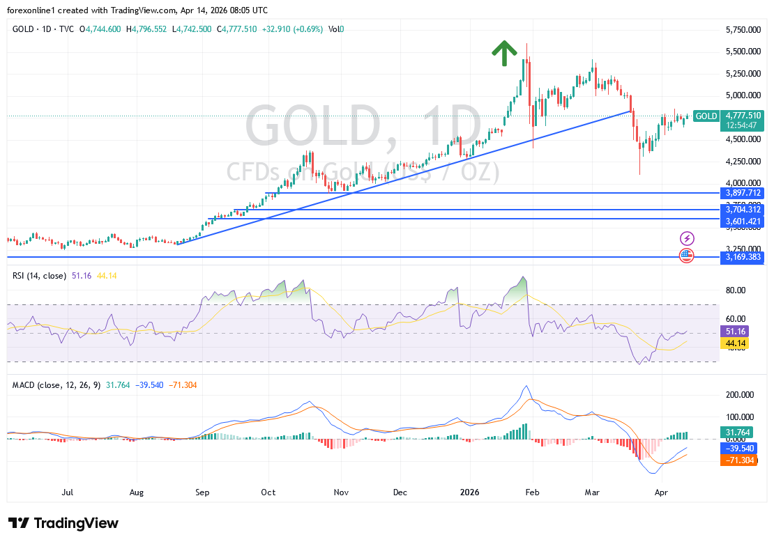 تحليل سعر الذهب: اقتراب حاسم من مقاومة 4800 دولار وسط تصاعد الزخم الشرائي