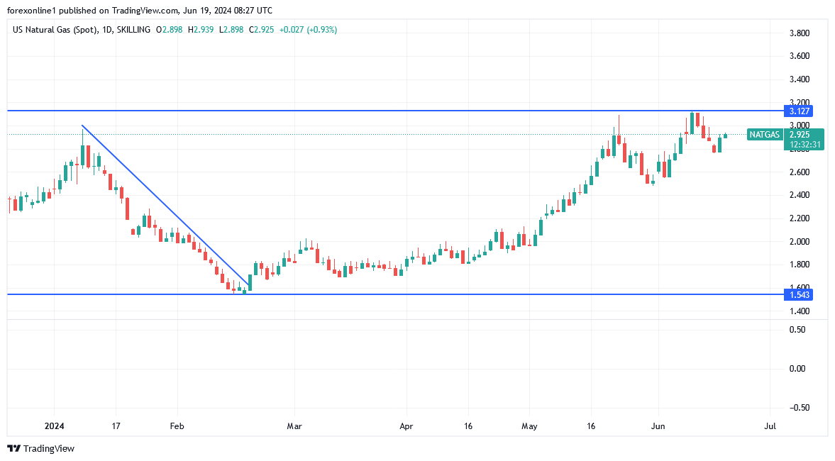 شارت سعر الغاز الطبيعى 