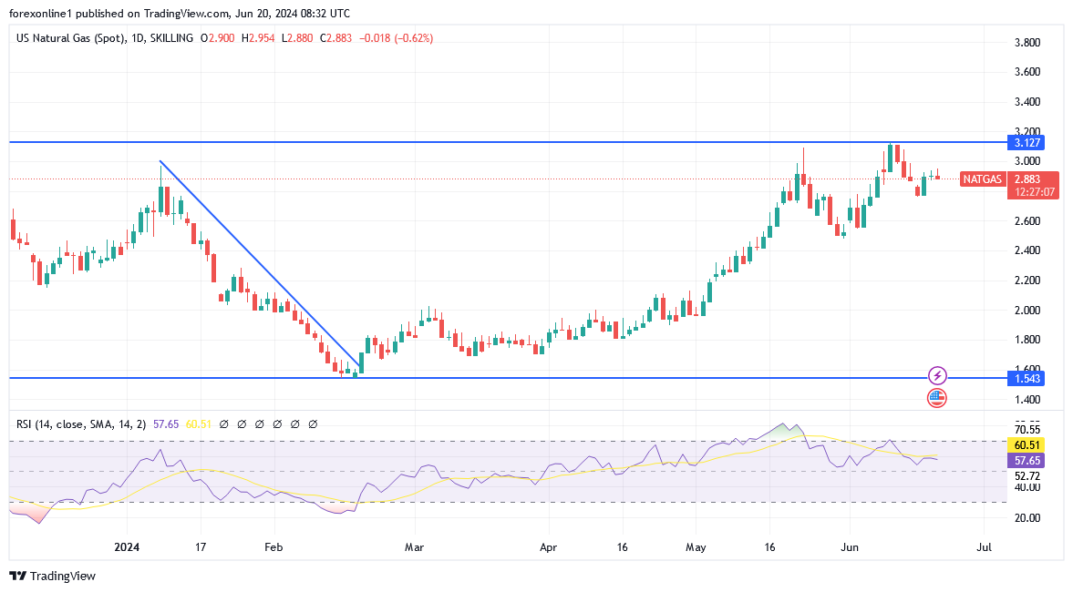 شارت سعر الغاز الطبيعى 