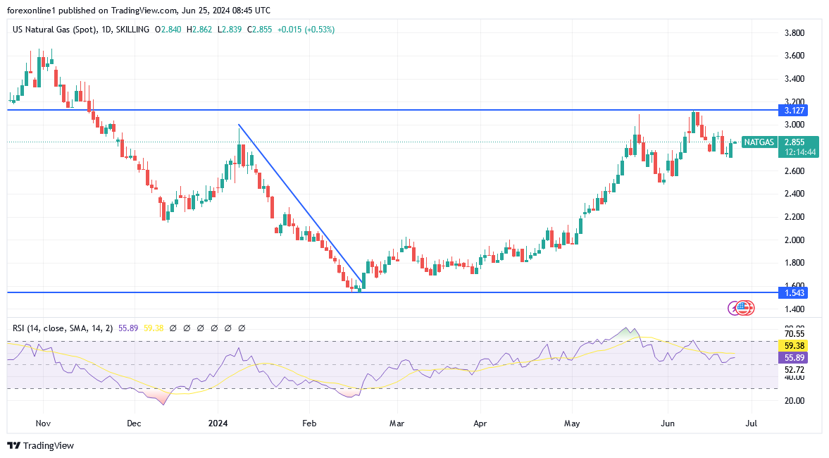 شارت سعر الغاز الطبيعى