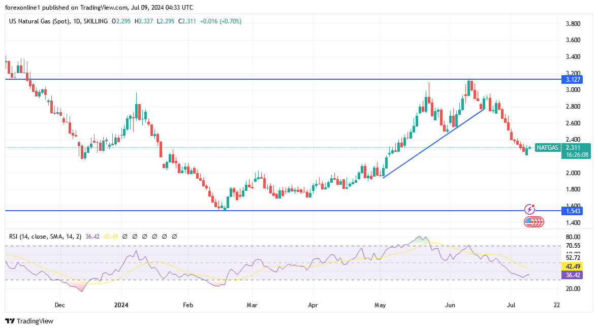شارت سعر الغاز الطبيعى 