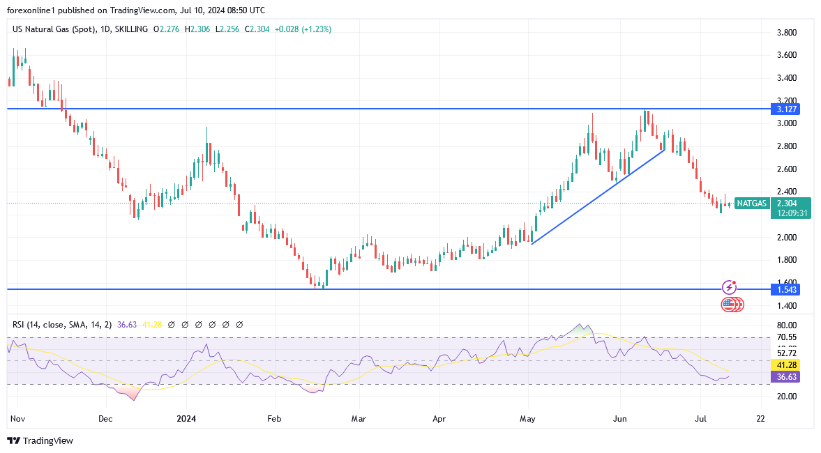 شارت سعر الغاز الطبيعى 