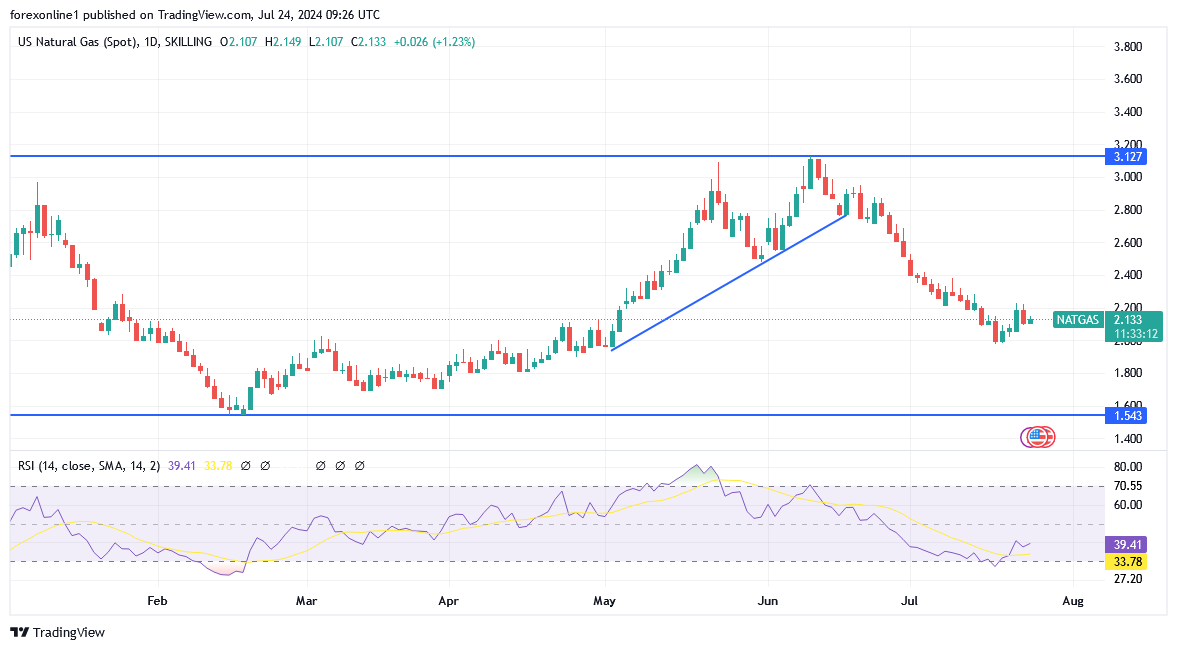 توقعات أسعار الغاز الطبيعى وأستقرار الاداء هبوطيا