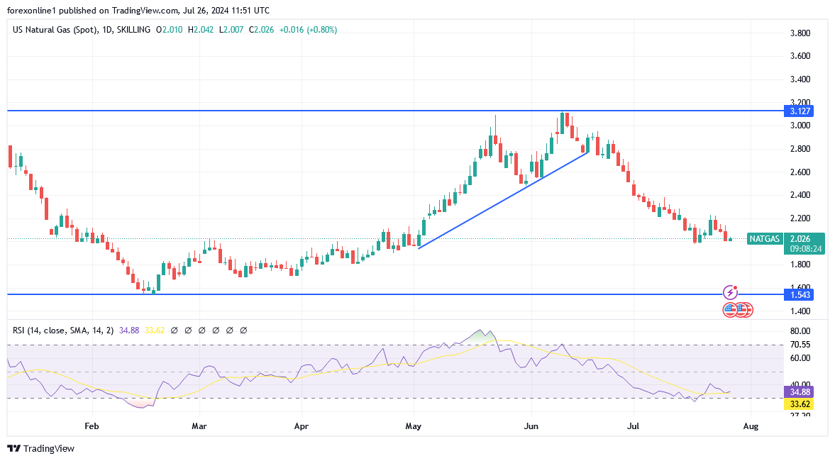 شارت سعر الغاز الطبيعى 