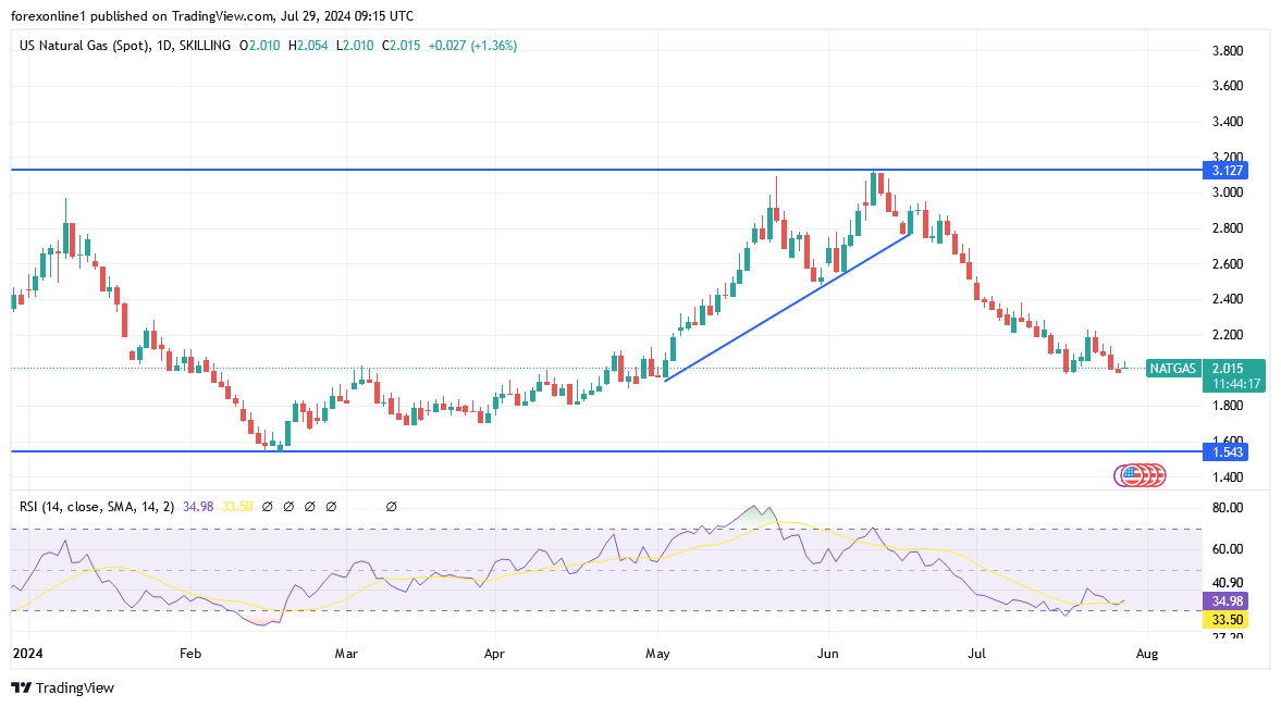 أسعار الغاز الطبيعي الأوروبية ترتفع وسط تقلبات السوق.. فما المتوقع ؟