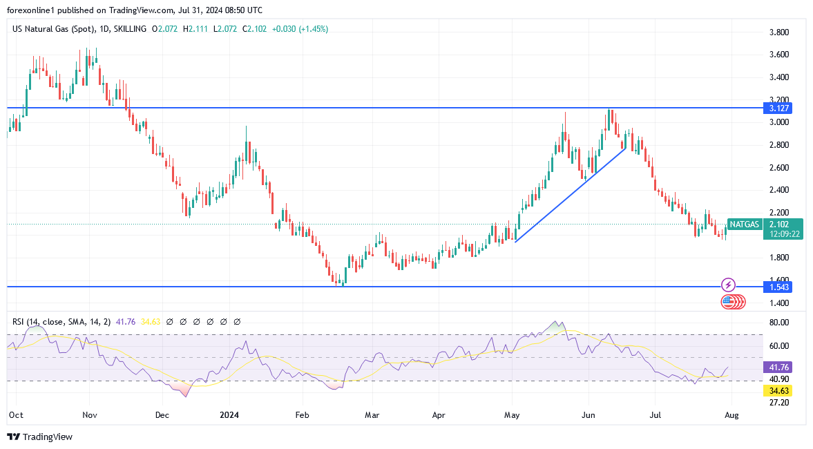 شارت سعر الغاز الطبيعى 