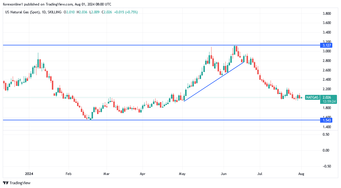 شارت سعر الغاز الطبيعى 