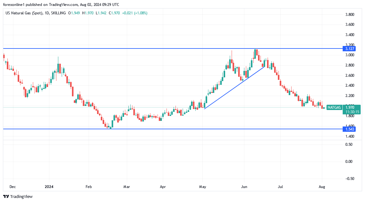 شارت سعر الغاز الطبيعى