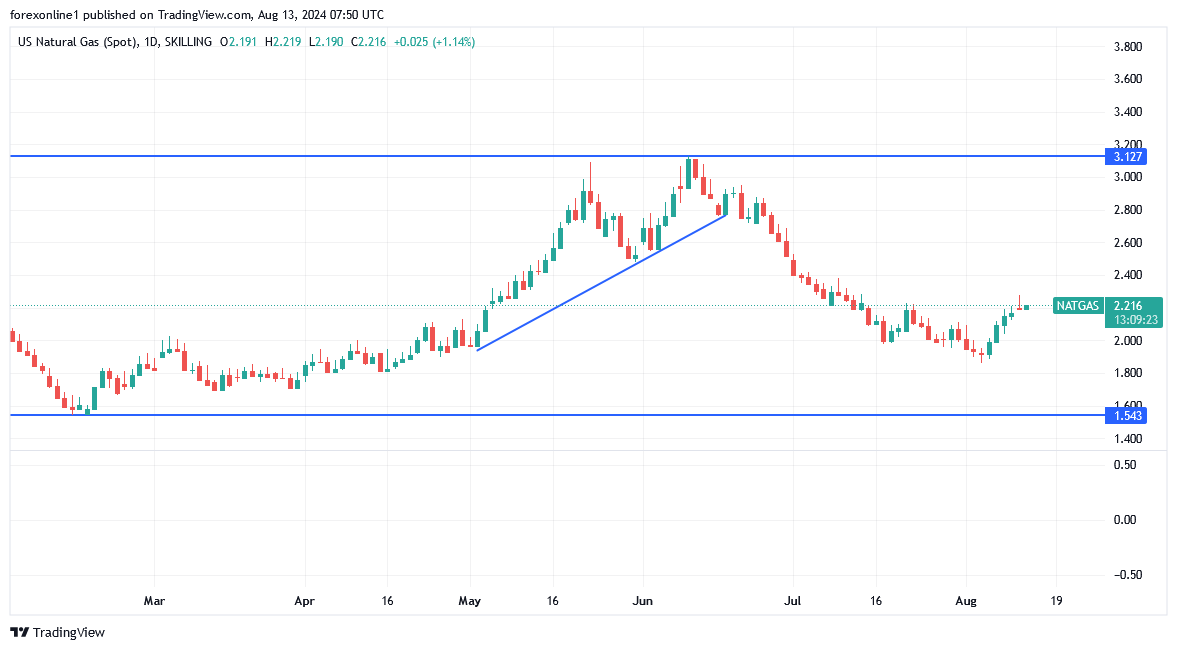 شارت سعر الغاز الطبيعى 