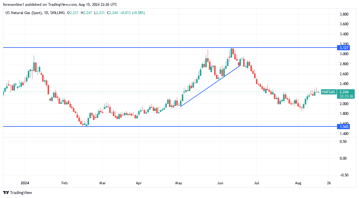 شارت سعر الغاز الطبيعى 
