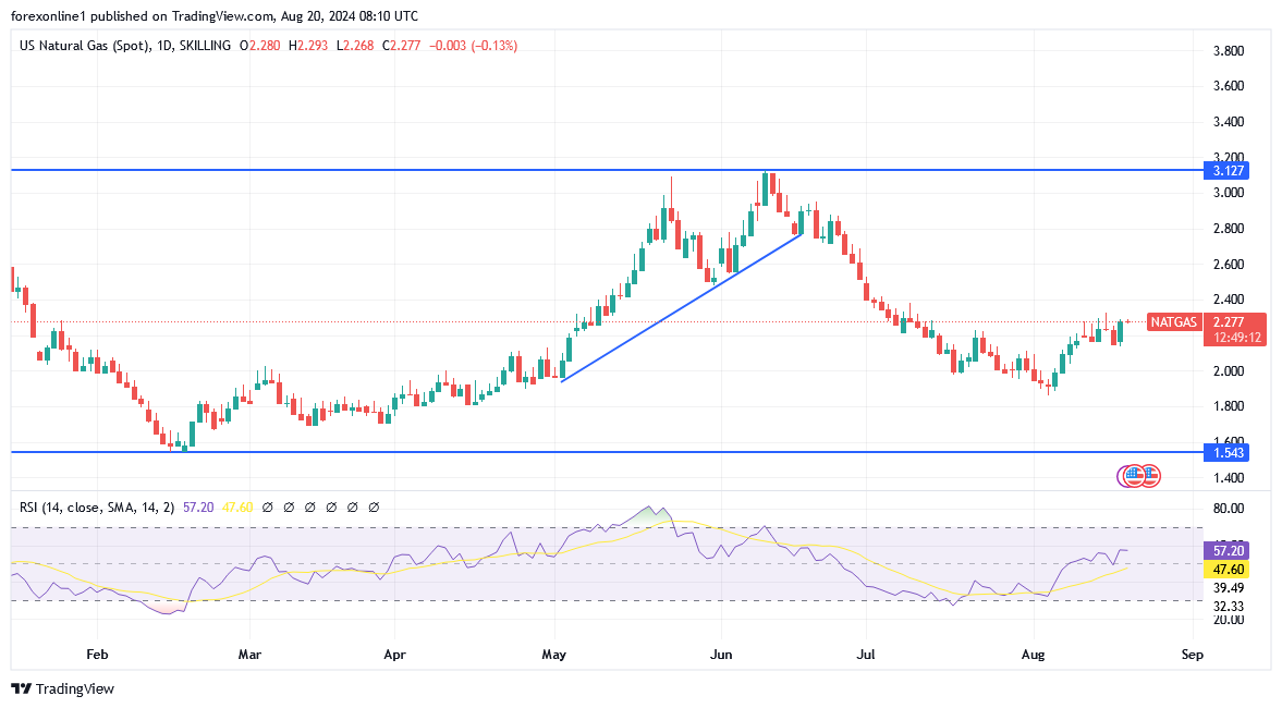 شارت سعر الغاز الطبيعى