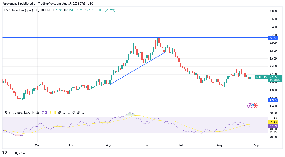 شارت سعر الغاز الطبيعى 