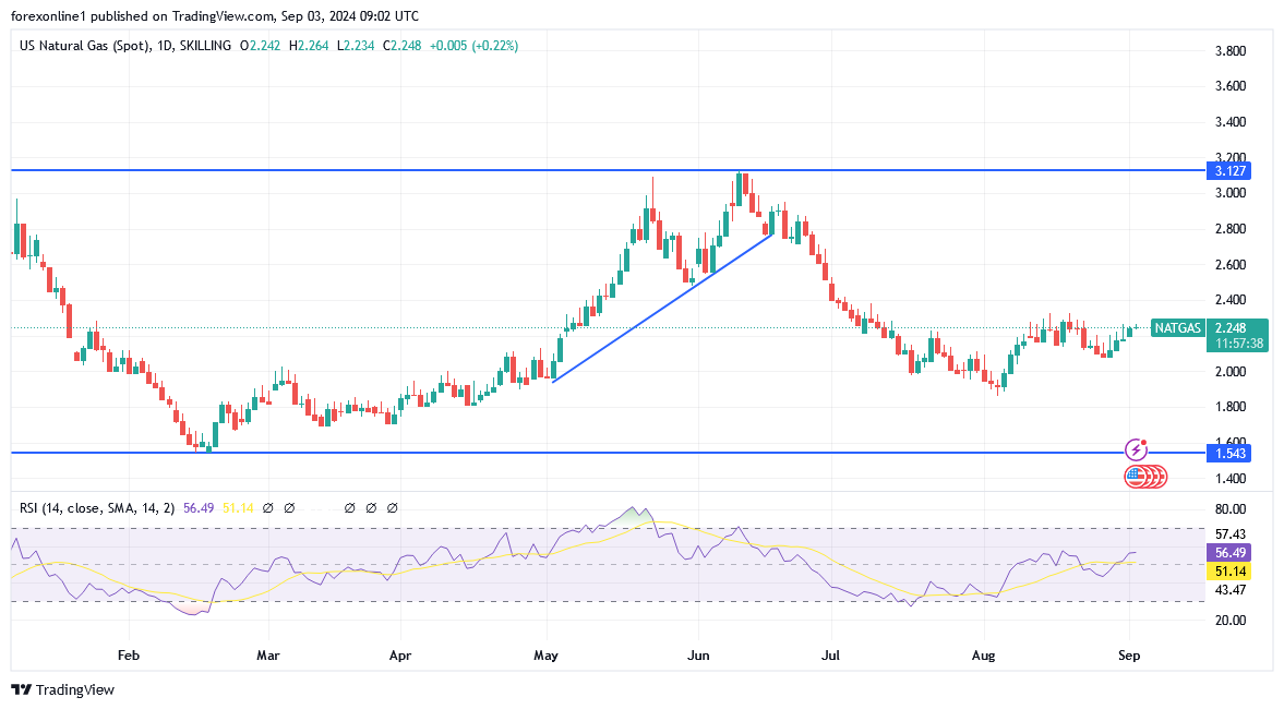 شارت سعر الغاز الطبيعى 