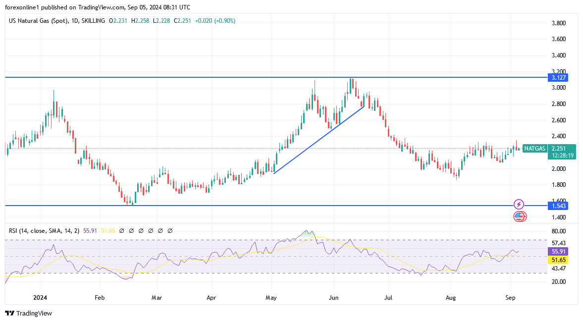 شارت سعر الغاز الطبيعى 