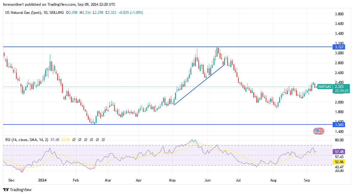 شارت سعر الغاز الطبيعى 