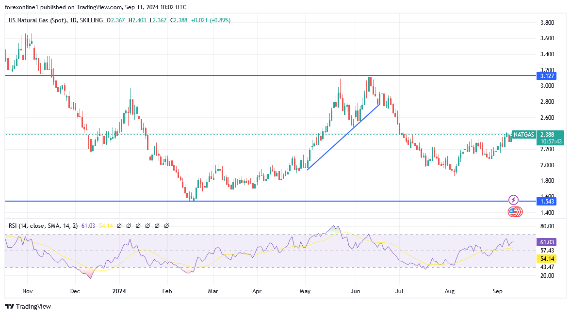 شارت سعر الغاز الطبيعى 