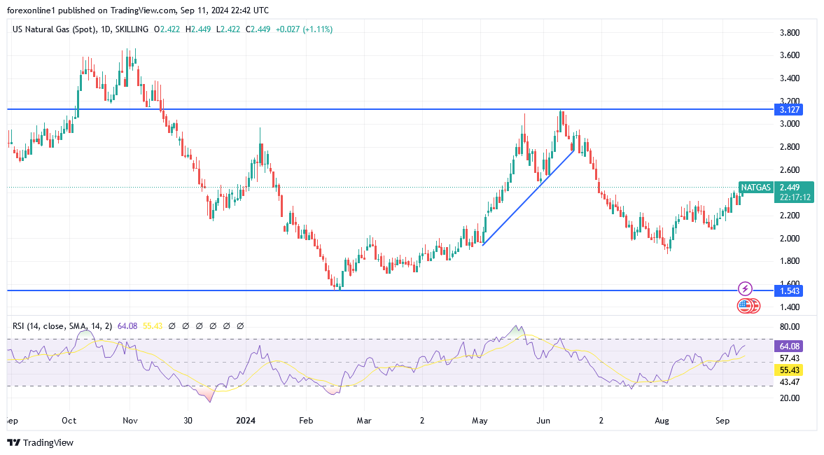شارت سعر الغاز الطبيعى 