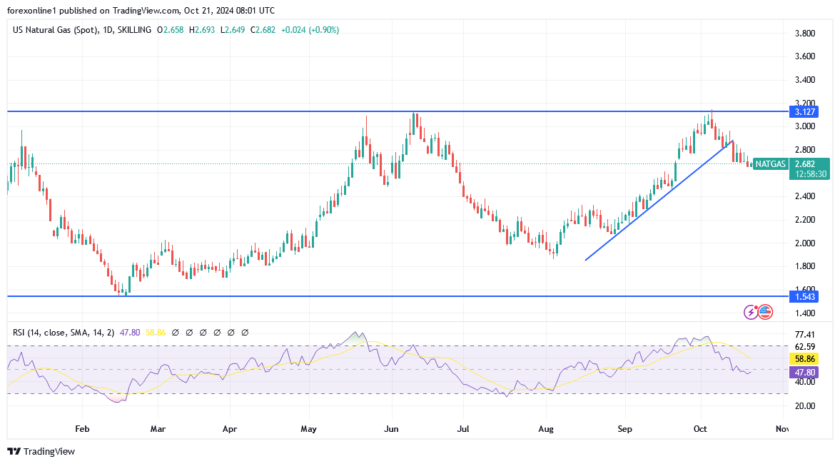 شارت سعر الغاز الطبيعى 
