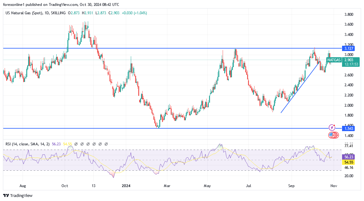 شارت سعر الغاز الطبيعى 