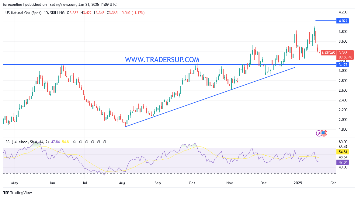 شارت سعر الغاز الطبيعى 