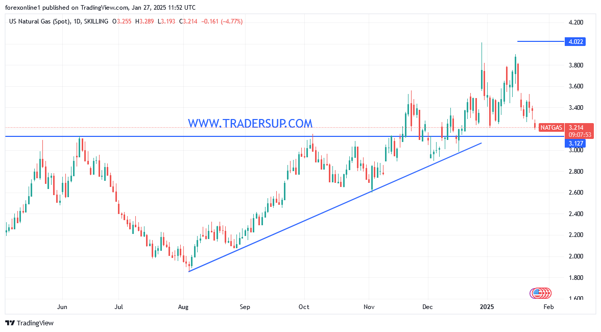 أسعار الغاز الطبيعى مستمرة فى عمليات البيع