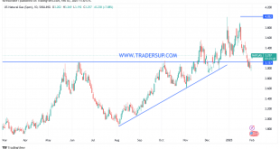 شارت سعر الغاز الطبيعى