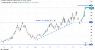 شارت سعر الغاز الطبيعى